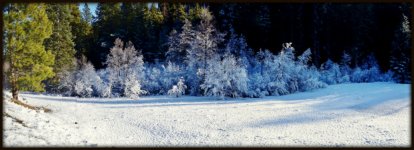 5100 RIMROCK 073 Stitch.jpg