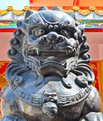 lion-2.jpg
