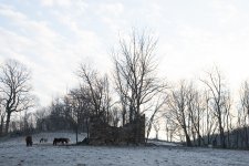 _D622191-2.jpg
