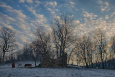 _D622191_HDR.jpg