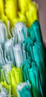 Toothbrush3.jpg