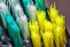 Toothbrush.jpg