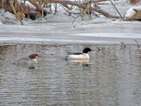 DSCN9628.jpg