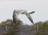 DSC_8931.jpg