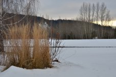 NIK_1608.jpg