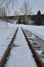 NIK_1619.jpg