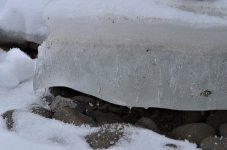 NIK_1648.jpg