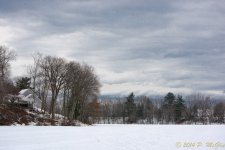DSC_7116.jpg