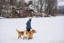 DSC_7117.jpg