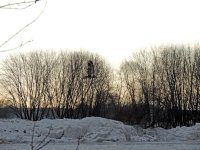 DSCN9686.jpg