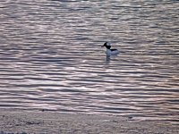 DSCN9713.jpg