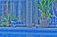 Princess HDR.jpg