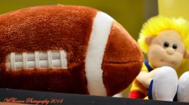 Stuffed Football.jpg