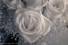 20140128-IR0_9902-Edit.jpg