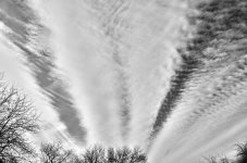 Matta_038a_bw_hdr.jpg