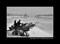 Landscape-6.jpg