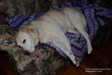 028 Jenny-140128_01.jpg