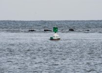 DSC_9016.jpg