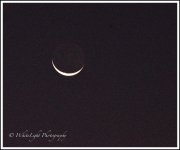 DSC_9326_WLP-4.jpg