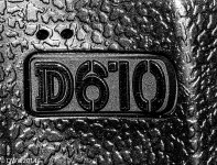 D610.jpg