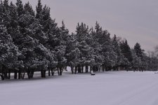 DSC_9157.jpg