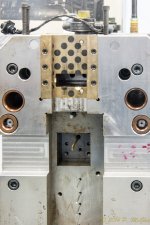 DSC_7149.jpg