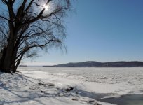 DSCN9894.jpg
