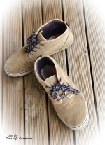 Andy's Shoes 2 LOL.jpg