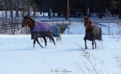 DSCN0297.jpg