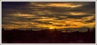 sunny day-56.jpg