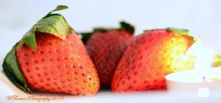 Strawberries 5.jpg