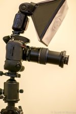 SHM_9350.jpg