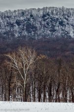 20140131-_D622602-Edit.jpg