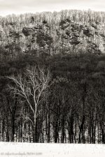 20140131-_D622602-EditB&W.jpg