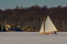 D71_1300.jpg