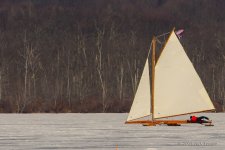 D71_1448.jpg