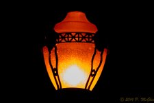 DSC_7172.jpg