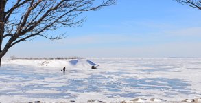 icefishin.jpg