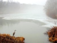 DSCN8987.jpg