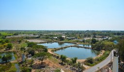 shrimpsfarm-1.jpg