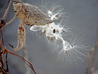 DSCN8972.jpg