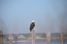 2DSC_0017.jpg