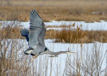 DSC_9681.jpg