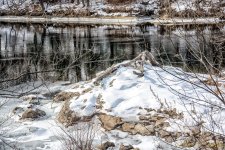 DSC_7194-Edit.jpg