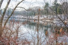 DSC_7195-Edit.jpg