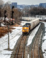 DSC_7198_9752_tonemapped-2.jpg
