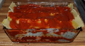 032 Lasagna Before-140201_01.jpg