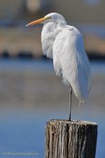 DSC_0025.jpg