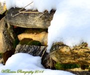 Moss on the Rocks with Snow.jpg