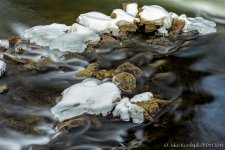 20140201-_D622682-Edit.jpg